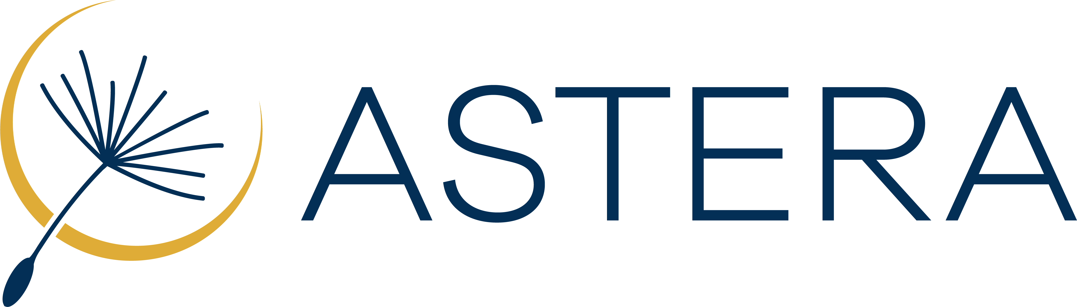Astera Institute Logo