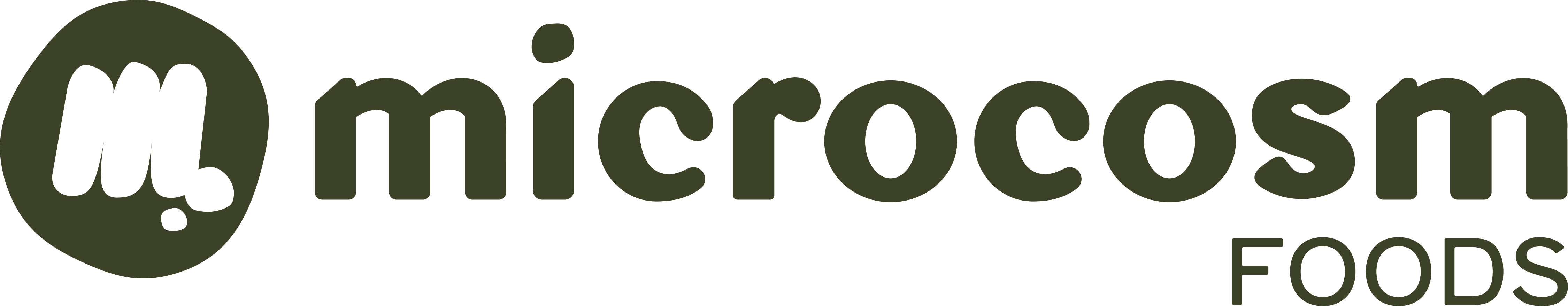 Microcosm Foods Logo